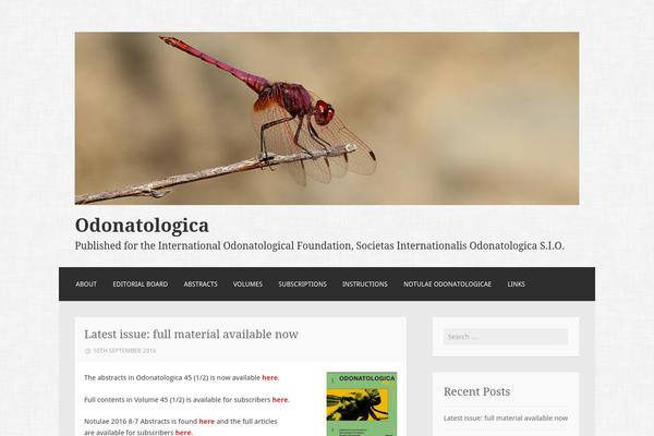 Motif theme site design template sample