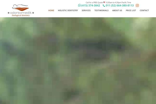 Bridge theme site design template sample