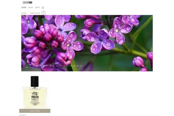Site using The-grid plugin