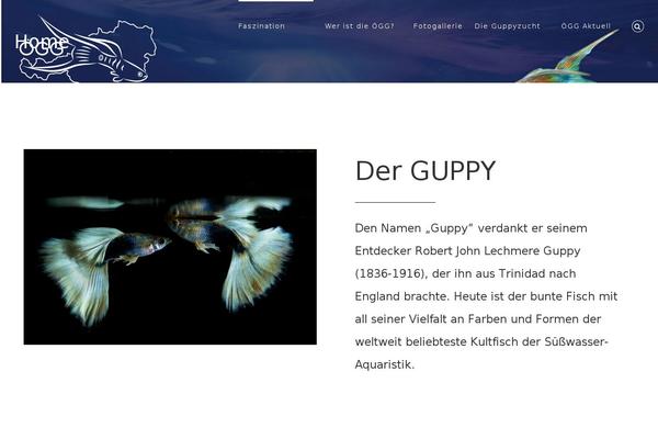 oegg.net site used Guppy