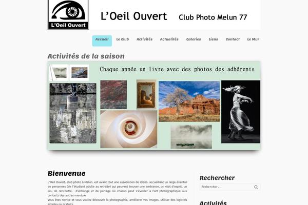 Site using WP User Avatar plugin