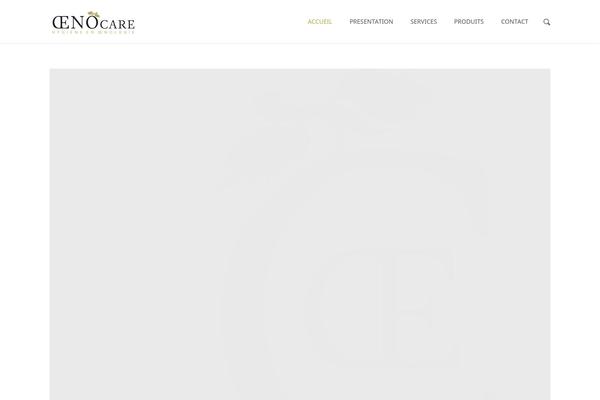 Durus theme site design template sample