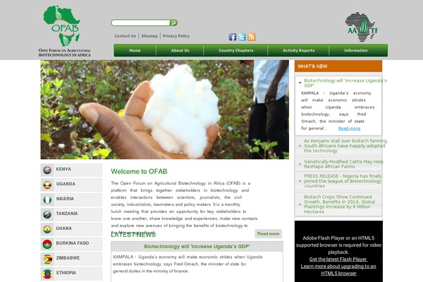 Aspen theme site design template sample