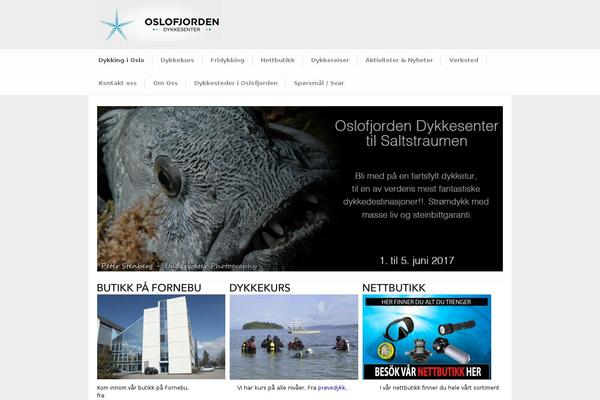 Modernize v3.14 theme site design template sample