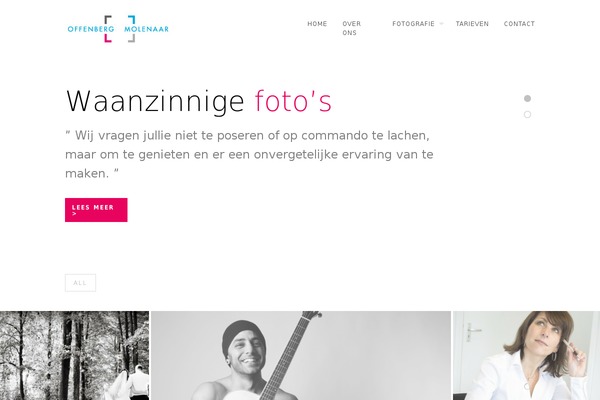 offenbergmolenaar.nl site used GridStack