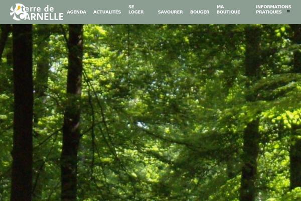 Site using Bridge-core plugin
