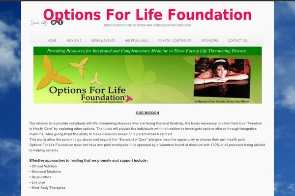 Simple’n’Bright theme site design template sample