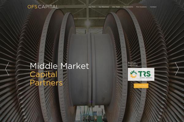 Accesspress_parallax_pro theme site design template sample