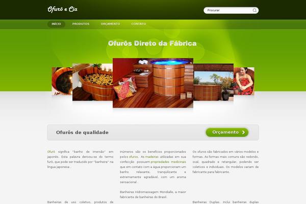 Showtime 3.3 theme site design template sample