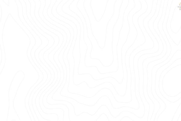 Site using Myhome-idx-broker plugin