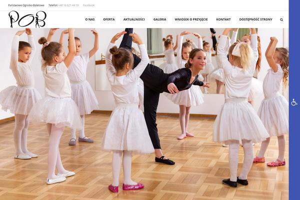 Educator theme site design template sample