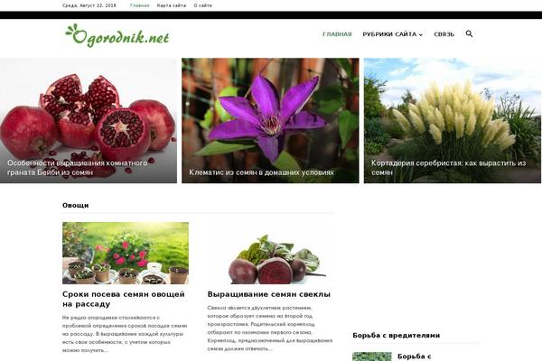 Newspaper theme site design template sample