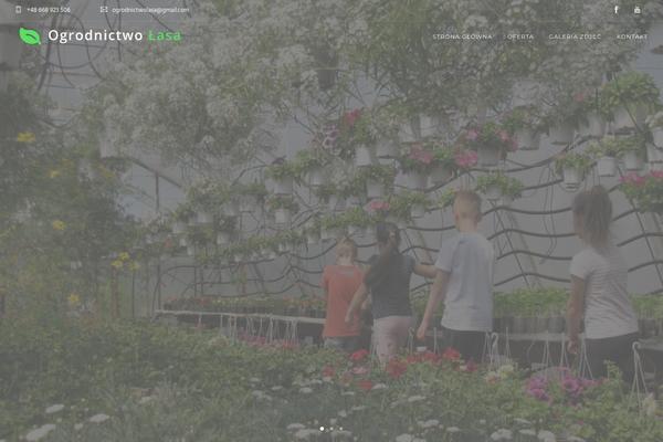 Roneous theme site design template sample