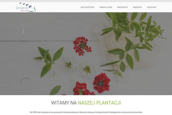 Site using Wp-date-remover plugin