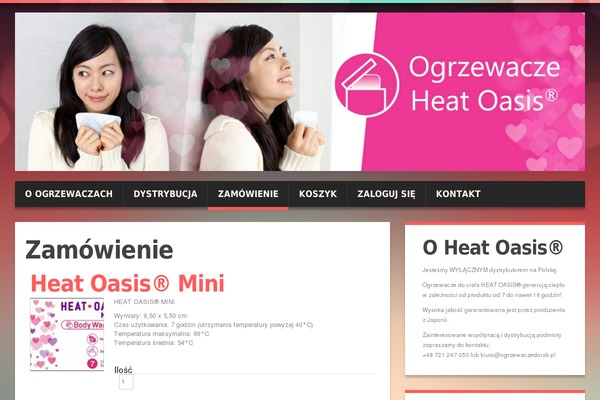 Duena theme site design template sample