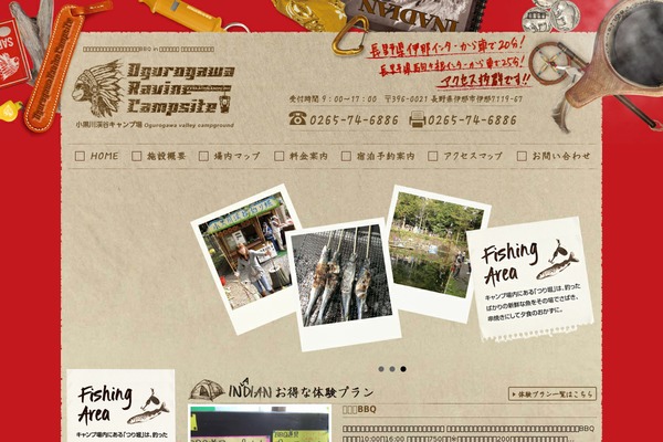 Site using Counterize plugin