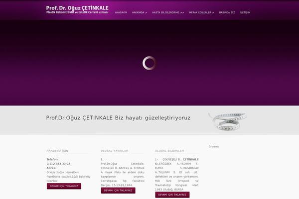 Site using Scripts Gzip plugin