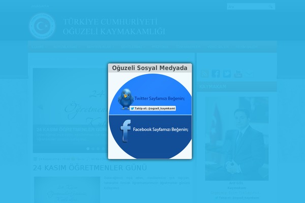 Site using All Video Gallery Plugin for WordPress plugin
