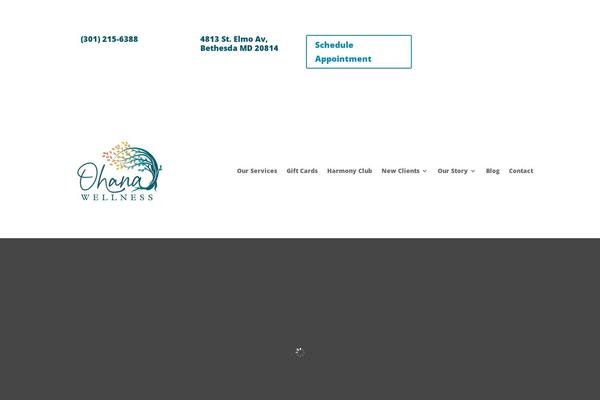 Site using Divi-team plugin
