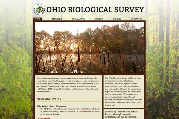 Ohio theme site design template sample
