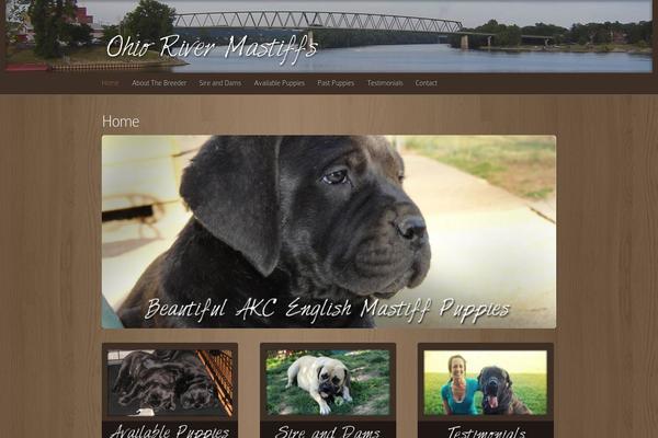 Deepfocus theme site design template sample