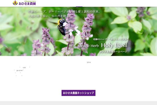 White-room theme site design template sample