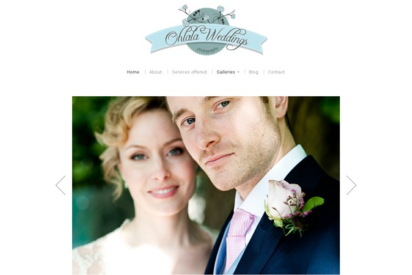 Photographer theme site design template sample