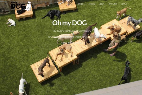 PetCare theme site design template sample