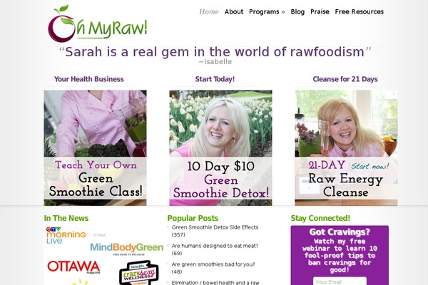 Modest-1 theme websites examples