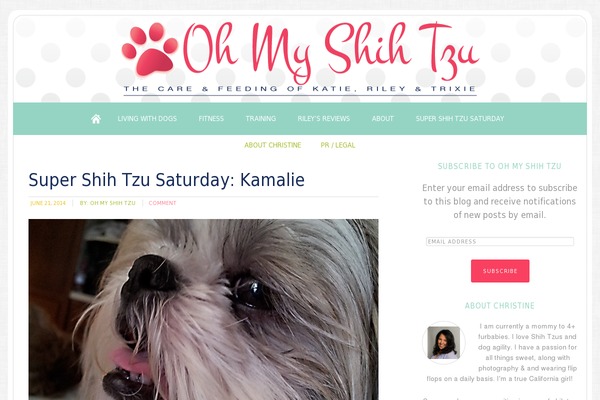 Site using Pinterest Pin It Button For Images plugin