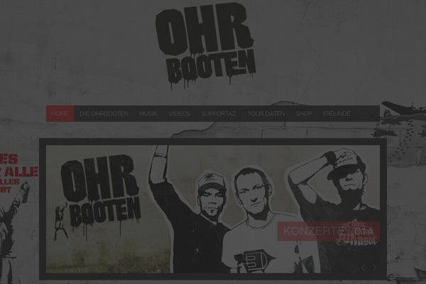 Site using Brankic Social Media Widget plugin