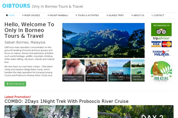 oibtours.com site used Vance