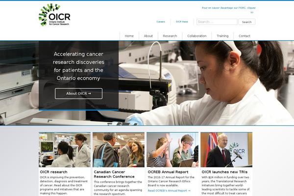 Site using Custom-twitter-feeds-pro plugin