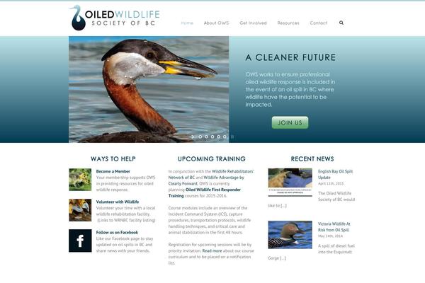 Avada theme site design template sample
