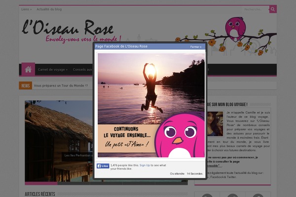 Site using Wp-content-copy-protection plugin