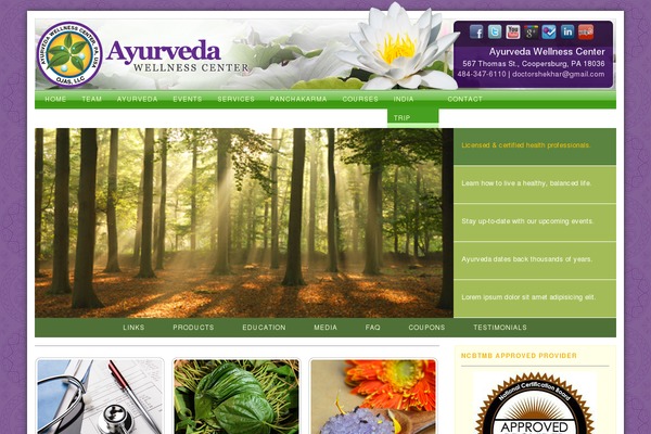 Atahualpa351 theme site design template sample