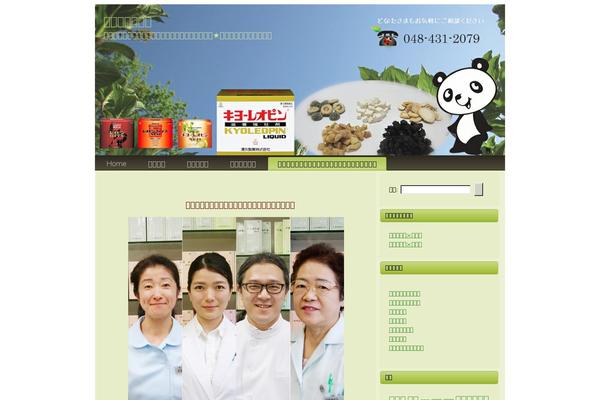 Islemag theme site design template sample