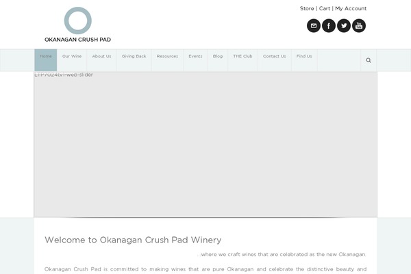 Neve-child theme site design template sample