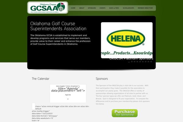 okgcsa.com site used Cleansure