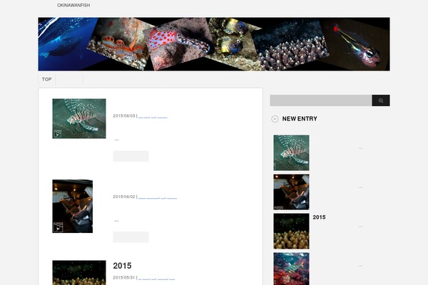 okinawanfish.com site used Luxech