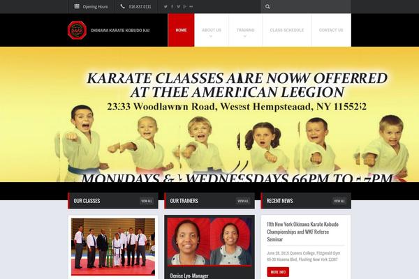 Fit Wp theme site design template sample
