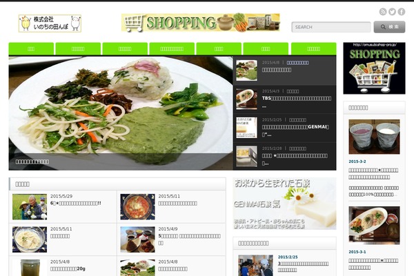 Opinion_tcd018 theme site design template sample
