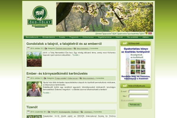 Illdy theme site design template sample