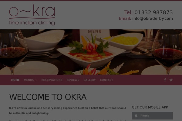 okra theme websites examples