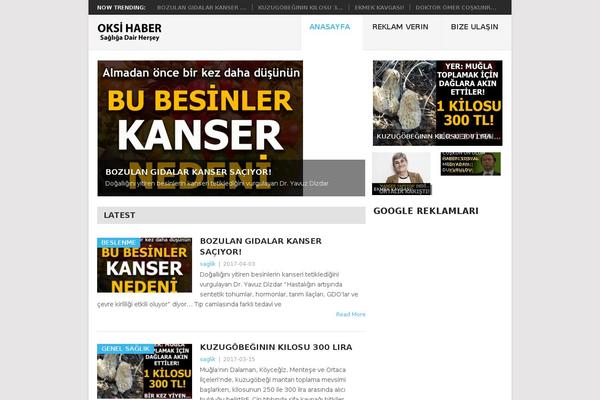oksihaber.com site used Yaren_tema