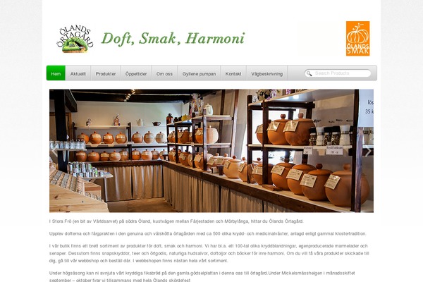 Mio theme site design template sample