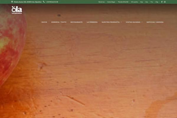 Site using Insta-gallery plugin