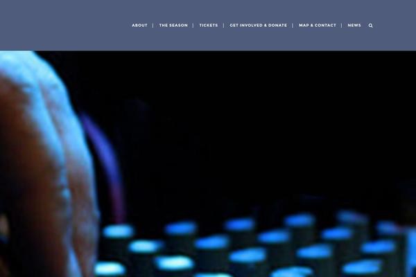 Bridge Child theme site design template sample