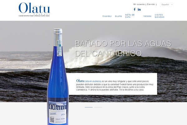 olatuwine.com site used Olatu
