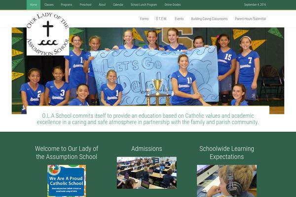 Education Pro theme site design template sample